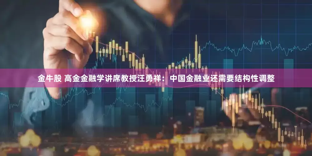金牛股 高金金融学讲席教授汪勇祥：中国金融业还需要结构性调整