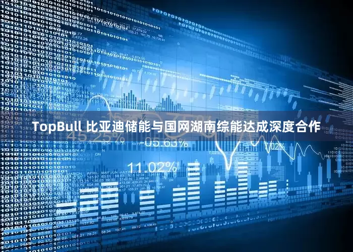 TopBull 比亚迪储能与国网湖南综能达成深度合作