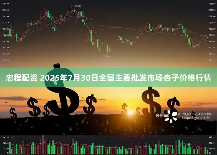忠程配资 2025年7月30日全国主要批发市场杏子价格行情