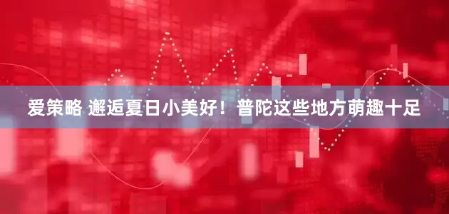 爱策略 邂逅夏日小美好！普陀这些地方萌趣十足