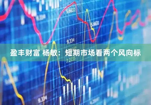 盈丰财富 杨敏：短期市场看两个风向标