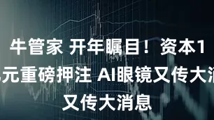牛管家 开年瞩目！资本10亿元重磅押注 AI眼镜又传大消息