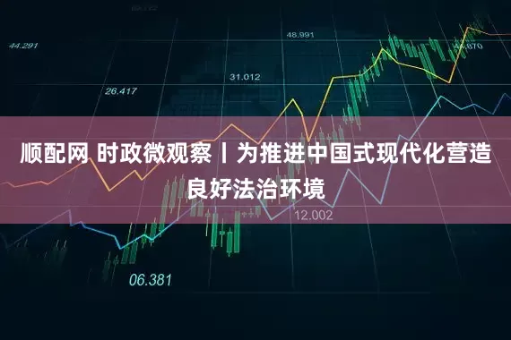 顺配网 时政微观察丨为推进中国式现代化营造良好法治环境