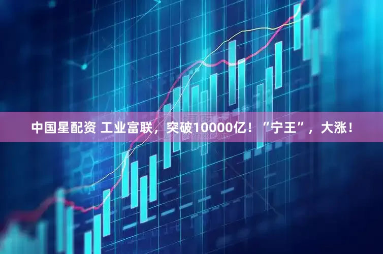 中国星配资 工业富联，突破10000亿！“宁王”，大涨！