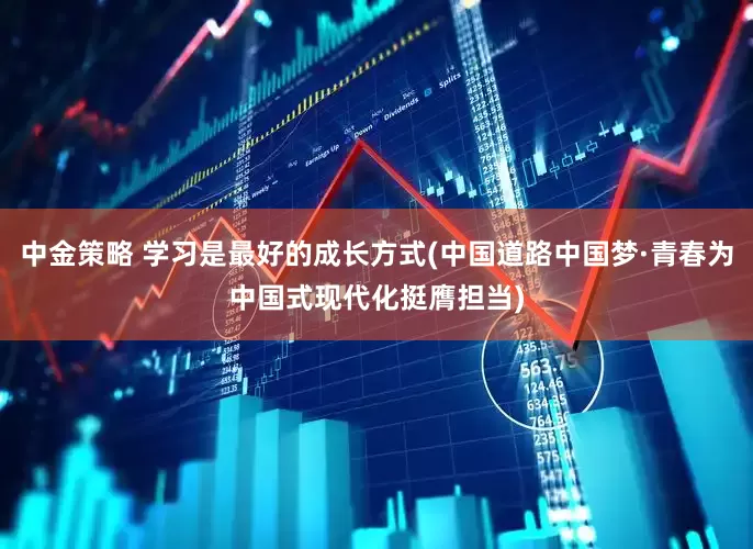 中金策略 学习是最好的成长方式(中国道路中国梦·青春为中国式现代化挺膺担当)